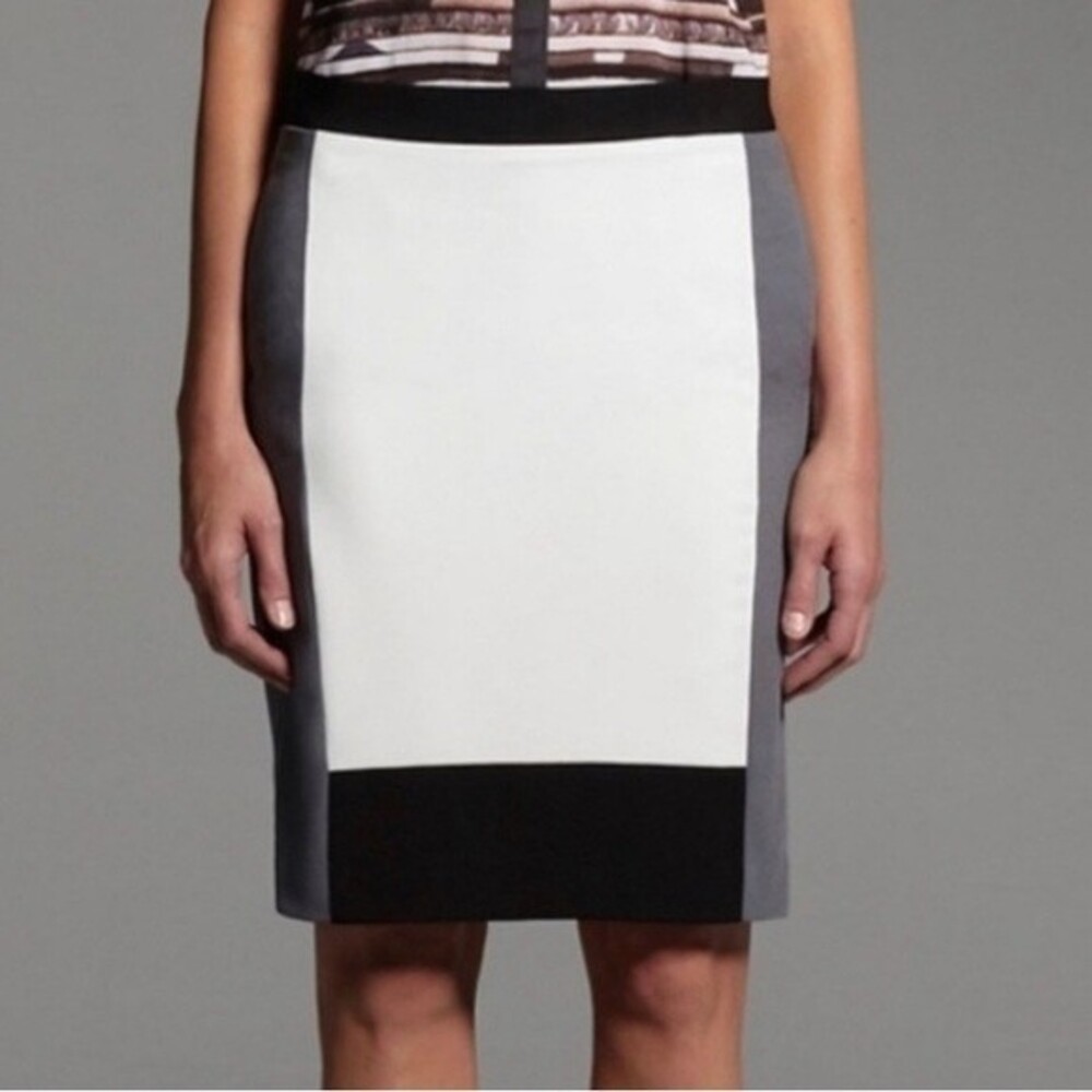 Narciso Rodriguez Colorblock Back Zip Pencil Skirt White Black Steel Size 10